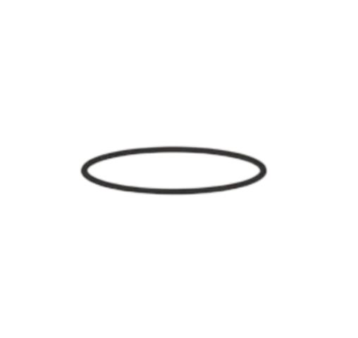 O Ring - Top Sub